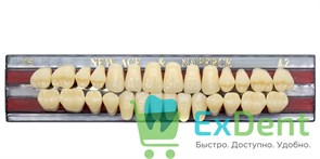 Гарнитур акриловых зубов A2, T5, Naperce и New Ace (28 шт)