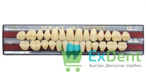 Гарнитур акриловых зубов A2, T2, Naperce и New Ace (28 шт)