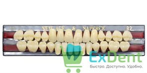 Гарнитур акриловых зубов B2, T3, Naperce и New Ace (28 шт)