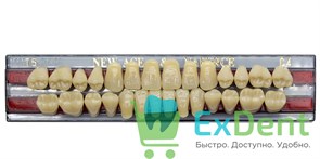 Гарнитур акриловых зубов C4, T5, Naperce и New Ace (28 шт)
