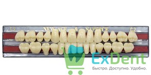Гарнитур акриловых зубов C2, T3, Naperce и New Ace (28 шт)