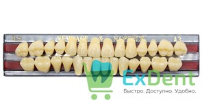 Гарнитур акриловых зубов A3, TL5, Naperce и New Ace (28 шт)