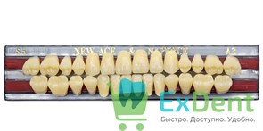 Гарнитур акриловых зубов A3, S5, Naperce и New Ace (28 шт)
