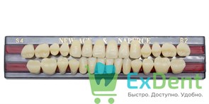Гарнитур акриловых зубов B2, S4, Naperce и New Ace (28 шт)