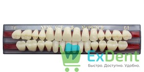 Гарнитур акриловых зубов C1, T6, Naperce и New Ace (28 шт)