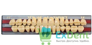 Гарнитур акриловых зубов A4, S6, Naperce и New Ace (28 шт)