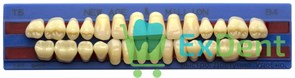 Гарнитур акриловых зубов B4, T5, M32, Million и New Ace (28 шт)