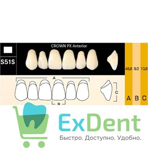 {{photo.Alt || photo.Description || 'Гарнитур фронтальных зубов  Crown PX - верхние, цвет A3,5 фасон S51S, композитные трехслойные (6шт)'}}