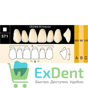 {{photo.Alt || photo.Description || 'Гарнитур фронтальных зубов  Crown PX - верхние, цвет A1 фасон S71, композитные трехслойные (6шт)'}}