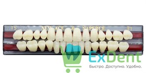 Гарнитур акриловых зубов B1, T5, Naperce и New Ace (28 шт)