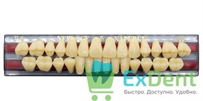 Гарнитур акриловых зубов A3,5, TL6, Naperce и New Ace (28 шт)