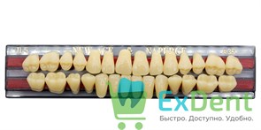 Гарнитур акриловых зубов A3,5, TL5, Naperce и New Ace (28 шт)