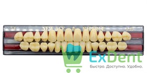 Гарнитур акриловых зубов A3,5, T4, Naperce и New Ace (28 шт)