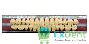 Гарнитур акриловых зубов A3,5, S3, Naperce и New Ace (28 шт)
