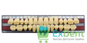 Гарнитур акриловых зубов A3,5, S5, Naperce и New Ace (28 шт)