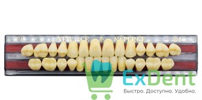 Гарнитур акриловых зубов B4, T4, Naperce и New Ace (28 шт)