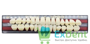 Гарнитур акриловых зубов B1, S4, Naperce и New Ace (28 шт)