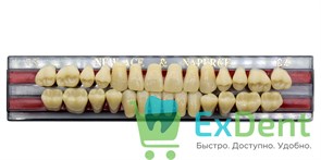 Гарнитур акриловых зубов C4, T3, Naperce и New Ace (28 шт)
