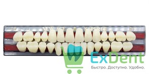 Гарнитур акриловых зубов B1, T6, Naperce и New Ace (28 шт)