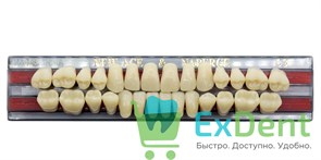 Гарнитур акриловых зубов C3, T3, Naperce и New Ace (28 шт)