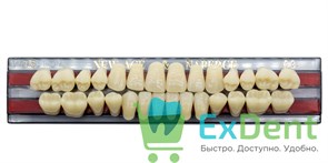 Гарнитур акриловых зубов C3, T5, Naperce и New Ace (28 шт)