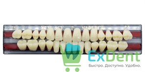 Гарнитур акриловых зубов C1, T5, Naperce и New Ace (28 шт)
