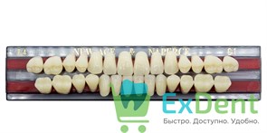 Гарнитур акриловых зубов C1, T4, Naperce и New Ace (28 шт)