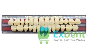 Гарнитур акриловых зубов B2, T5, Naperce и New Ace (28 шт)
