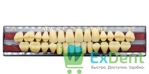 Гарнитур акриловых зубов B3, S4, Naperce и New Ace (28 шт)