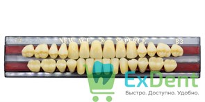 Гарнитур акриловых зубов B3, T4, Naperce и New Ace (28 шт)
