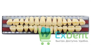 Гарнитур акриловых зубов A3, TL6, Naperce и New Ace (28 шт)
