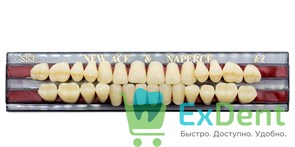 Гарнитур акриловых зубов A2, SS3, Naperce и New Ace (28 шт)