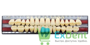 Гарнитур акриловых зубов A2, S4, Naperce и New Ace (28 шт)