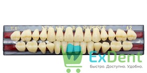 Гарнитур акриловых зубов A2, TL6, Naperce и New Ace (28 шт)
