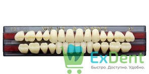 Гарнитур акриловых зубов A1, T3, Naperce и New Ace (28 шт)