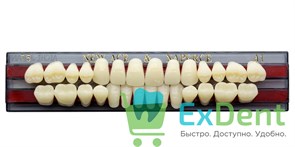 Гарнитур акриловых зубов A1, T5, Naperce и New Ace (28 шт)