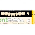 Гарнитур боковых зубов  Efucera PX - нижние, цвет A3,5 фасон 32, композитные трехслойные (8шт) - фото 39929