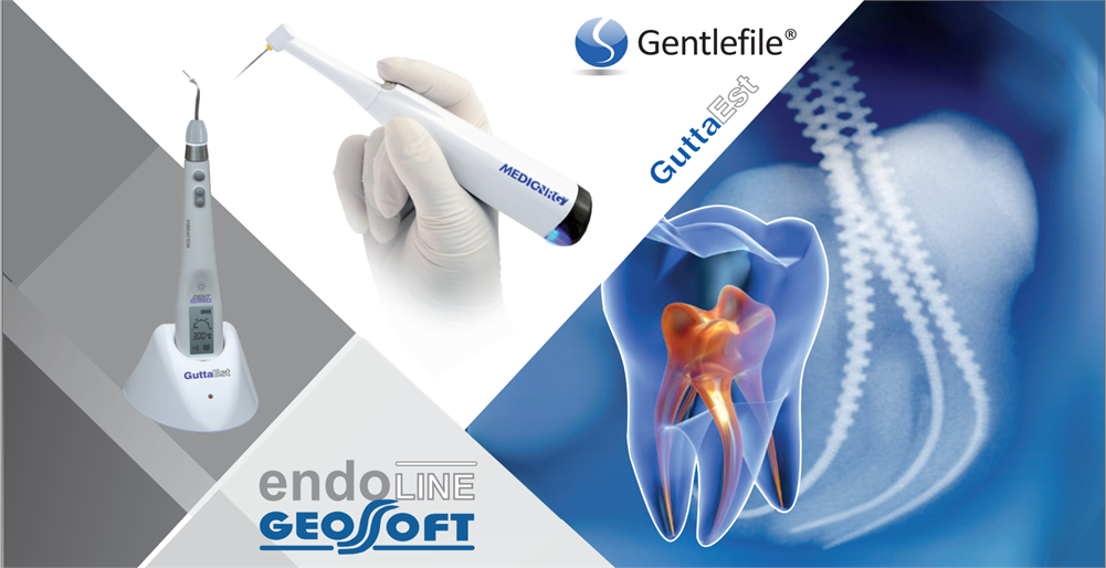Getnlefile - курс по эндодонтическому лечению каналов Getnlefile - курс по эндодонтическому лечению каналов