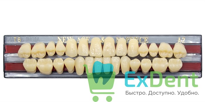 Гарнитур акриловых зубов A2, T6, Naperce и New Ace (28 шт) - фото 11331