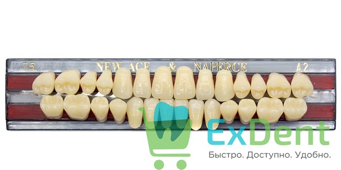 Гарнитур акриловых зубов A2, T5, Naperce и New Ace (28 шт) - фото 11332