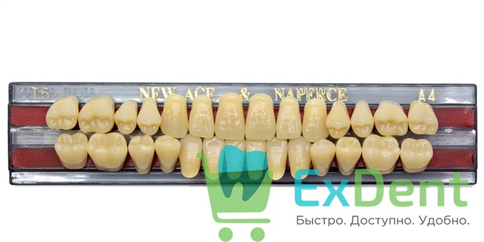 Гарнитур акриловых зубов A4, T5, Naperce и New Ace (28 шт) - фото 11346