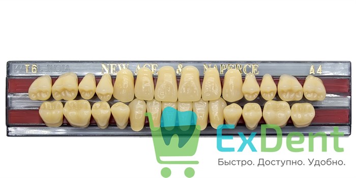 Гарнитур акриловых зубов A4, T6, Naperce и New Ace (28 шт) - фото 11347