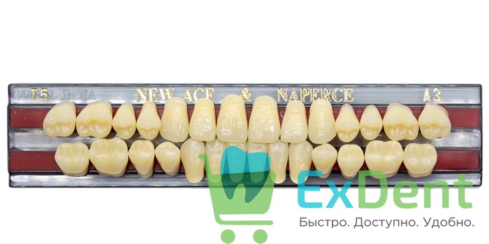 Гарнитур акриловых зубов A3, T5, Naperce и New Ace (28 шт) - фото 11349
