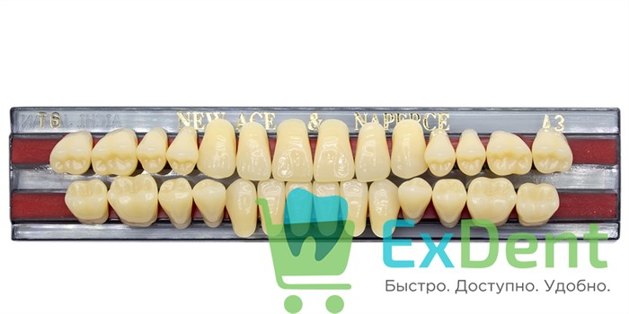 Гарнитур акриловых зубов A3, T6, Naperce и New Ace (28 шт) - фото 11350