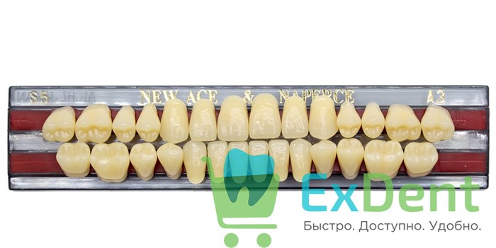 Гарнитур акриловых зубов A3, S5, Naperce и New Ace (28 шт) - фото 11352