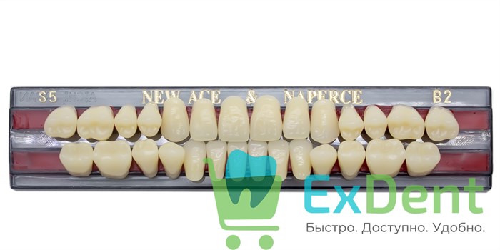 Гарнитур акриловых зубов B2, S5, Naperce и New Ace (28 шт) - фото 11353