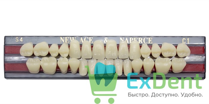 Гарнитур акриловых зубов C1, S4, Naperce и New Ace (28 шт) - фото 11354