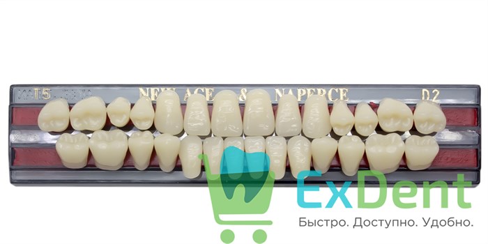 Гарнитур акриловых зубов D2, T5, Naperce и New Ace (28 шт) - фото 11355
