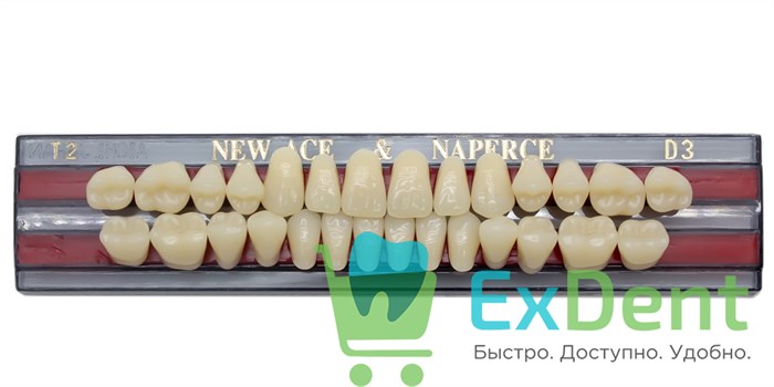 Гарнитур акриловых зубов D3, T2, Naperce и New Ace (28 шт) - фото 11356