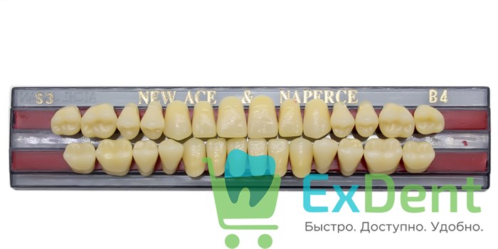 Гарнитур акриловых зубов B4, S3, Naperce и New Ace (28 шт) - фото 11357